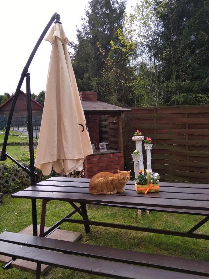 Apartament Nad Szumiacym Potokiem Wilkowice Bagian luar foto
